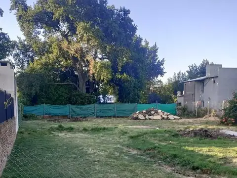 Las Catalpas 900
