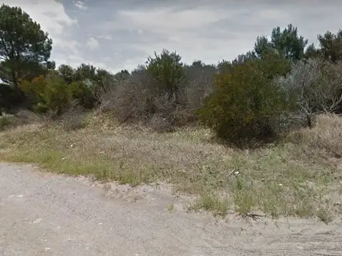 Calle 29 e/ Pinamar y Necochea 100