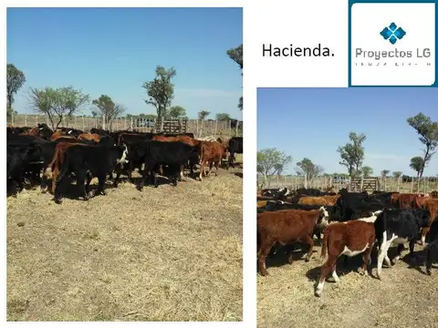 Quinta en Venta en Sol De Julio, USD 1.200