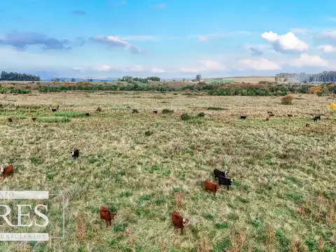 Campo en venta de 68 ha sobre ruta 39