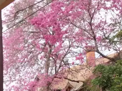 Casa - Posadas