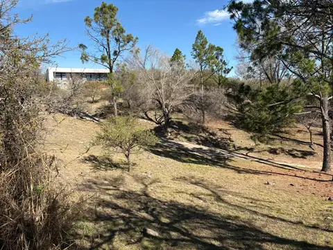 Valle Sereno 100