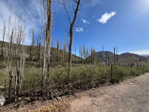 Terreno en venta, El Salto, Potrerillos