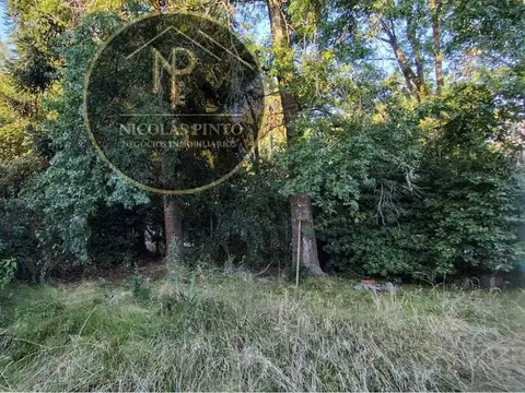 EXCELENTE LOTE EN VENTA MANUEL ALBERTI / PILAR / DEL VISO