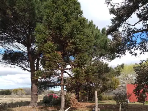 VENTA LOTE PARAJE PAVON GENERAL LAVALLE