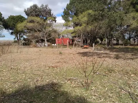 Terreno en Venta de 10000,0 m2