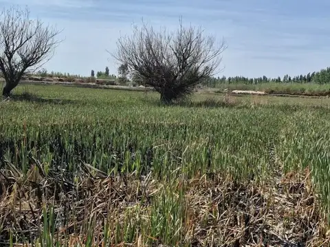 VENTA FINCA 5,7 HECTÁREAS GUAYMALLEN