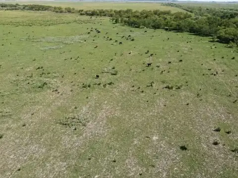 424 hectáreas en San Genaro