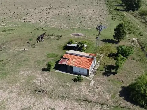 Campo a la venta, 424 Has en San Genaro.