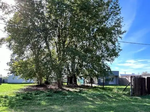 Martinez . Entre Casros y Alvear