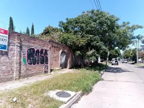 San Benito 300