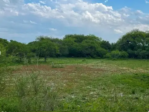 109 hectareas en Sauce de Luna
