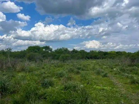 Campo en Venta de 109  ha