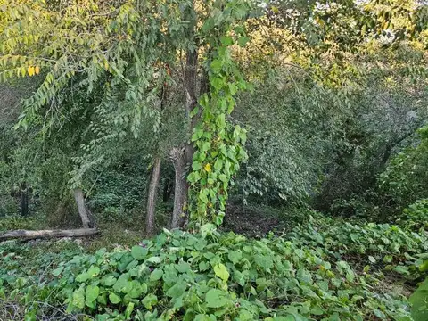 Terreno en Venta en Bialet Masse, USD 21.000