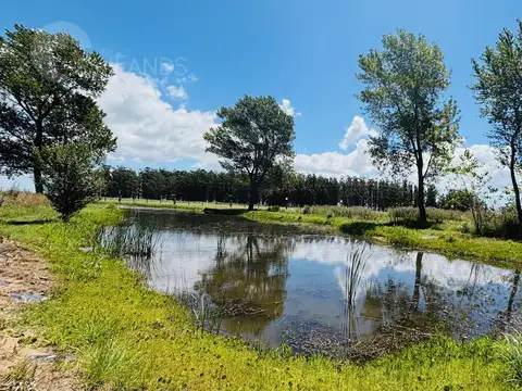 Terreno en Venta en Villarobles, USD 539.355