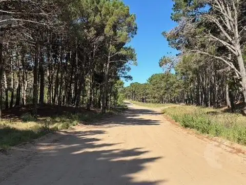 Terreno en Venta 47  mts Fondo