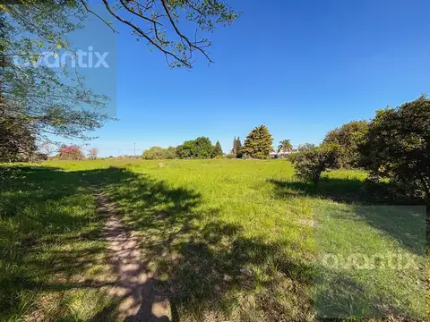 Lote 600 m2 en Nuevo Torino