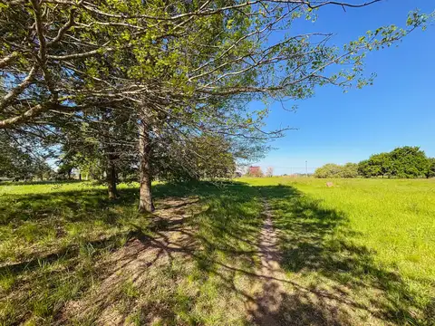 Terreno en Venta de 600,0 m2