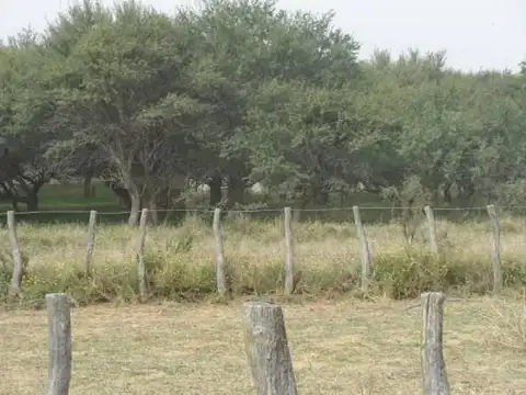 Abramo, La Pampa 100