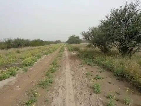 Abramo, La Pampa 100