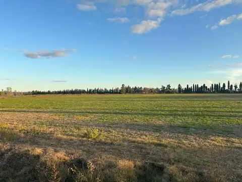 Campo en venta con acceso asfaltado y luz