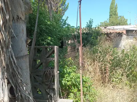 General Wenceslao Paunero 800