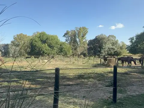 Chacra con caballerizas en alquiler en ruta 28 alt. km 6, Pilar, Provincia de Buenos Aires