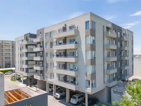 El Palmar 100