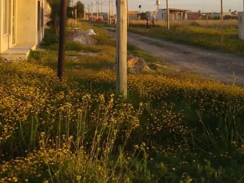 Terreno en Venta en Oasis, USD 13.900