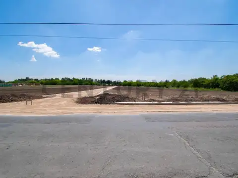 146 e/ 454 y 467 100