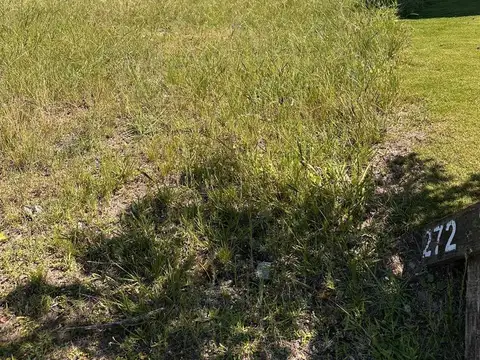 Terreno en Venta 49  mts Fondo