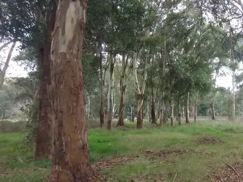 Terreno en Venta de 11289,0 m2