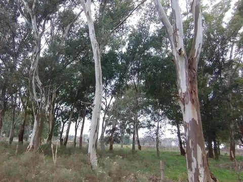 Terreno en Venta 112  mts Frente