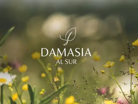 Lote en venta en Damasia al Sur, Ezeiza - Canning