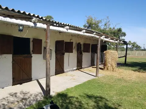 5,5 has Chacra en Venta en Chascomus - Ideal Cria de Caballos.Importantes Mejoras - RETASADO !