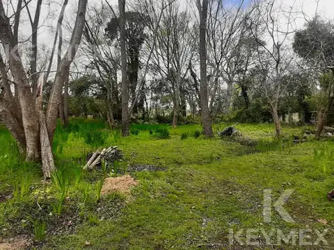 Terreno en Isla Santiago