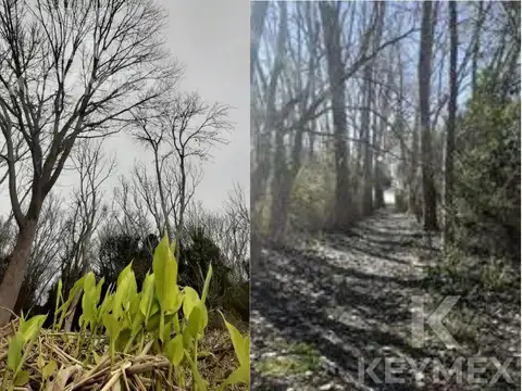 Terreno en Venta 20  mts Fondo