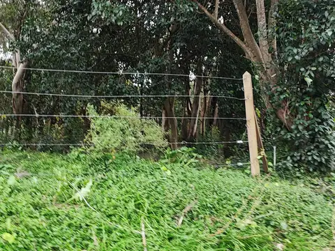 Terreno en Venta en Villa Elisa, USD 300.000