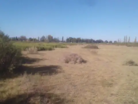OPORTUNIDAD DE INVERSIÓN EN MENDOZA, GRAL ALVEAR
