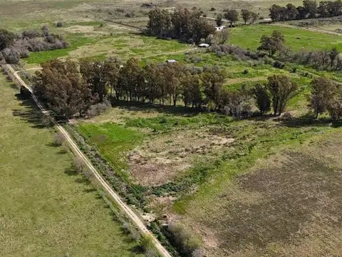 Campo en Venta en La Plata [Cod: 715]