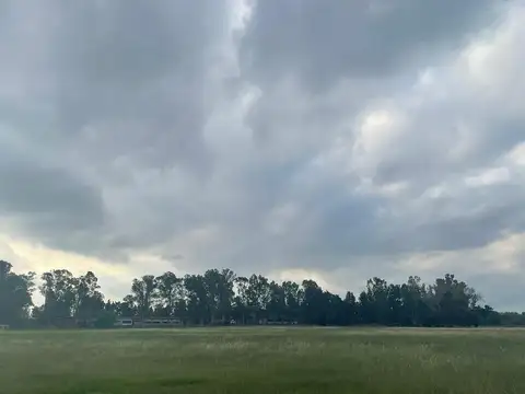 Campo en Venta en La Plata [Cod: 715]