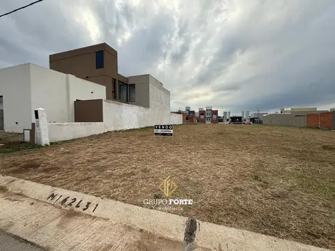 TERRENO EN VENTA DOCTA- AVENIDA 2