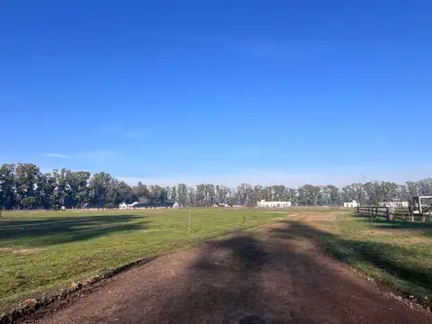 Terreno en Venta en Villa Ruiz, USD 25.900