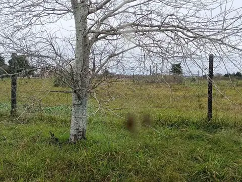 Terreno en Venta de 700,0 m2