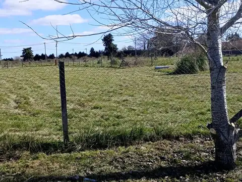 El Amparo Lote 80