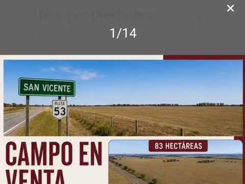 Campo - San Vicente