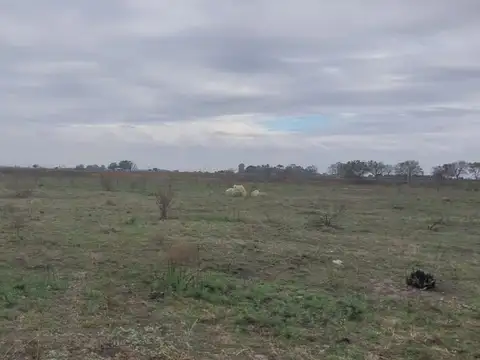 San vicente Provincia de Buenos Aires