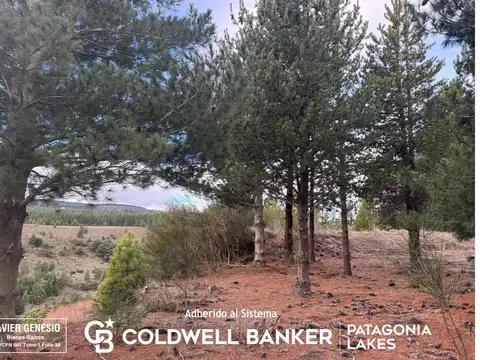 Terreno en Venta 20  mts Frente