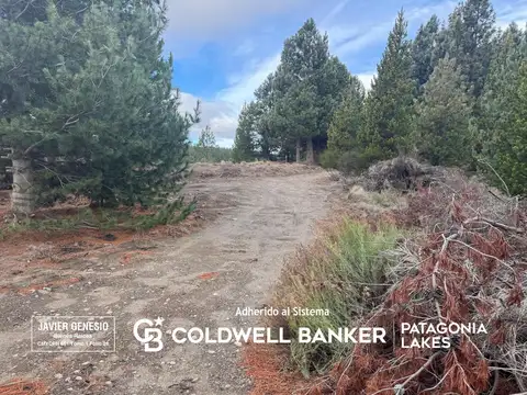 Terreno en Venta 42  mts Fondo