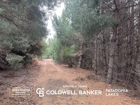 Terreno en Venta en Villa Vega Maipú, USD 85.000